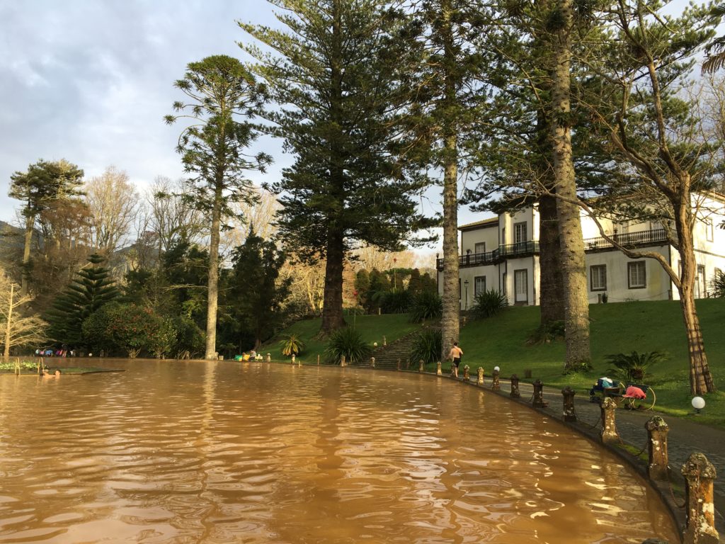 Sao miguel furnas park 