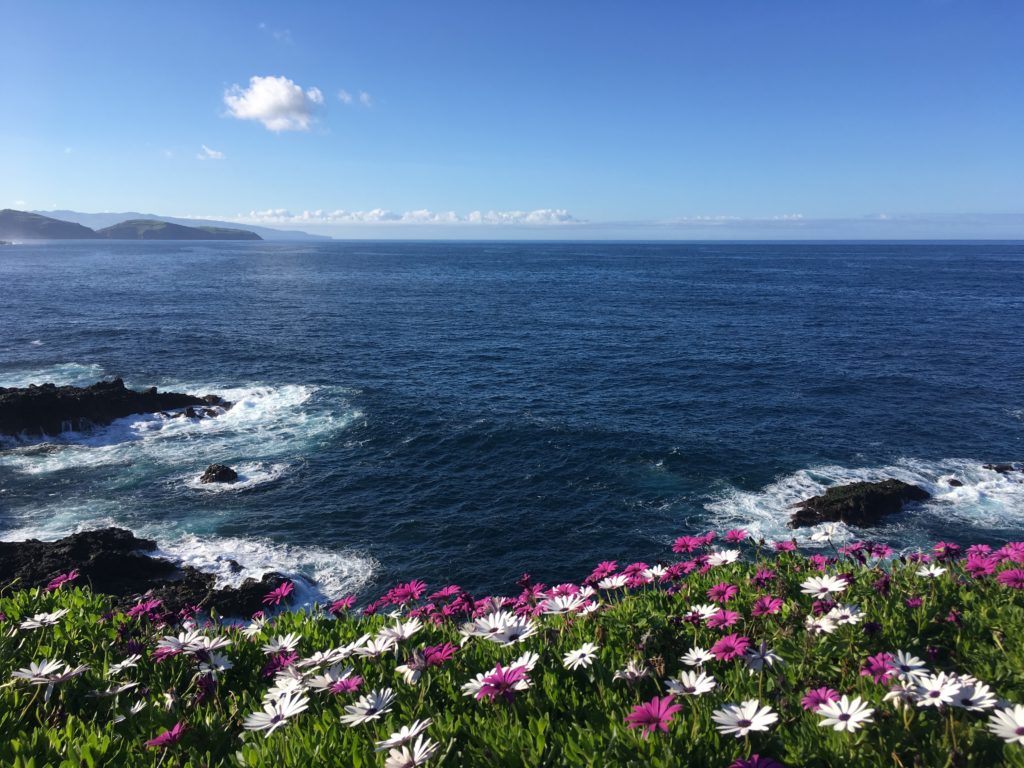 Azori szigetek szép virágokkal