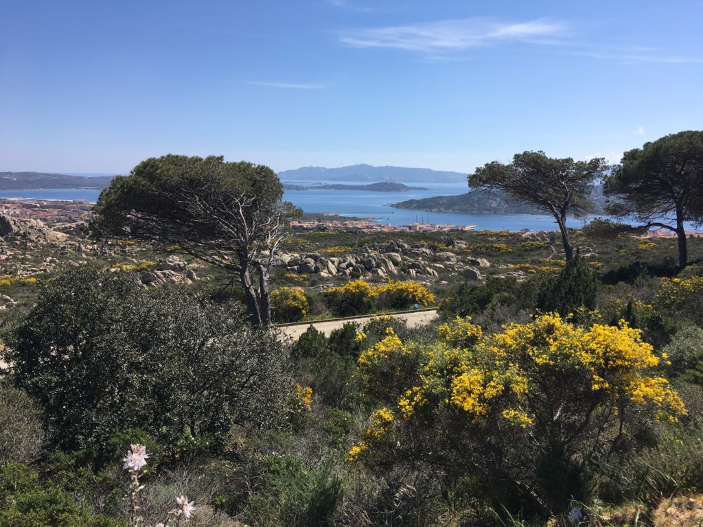 Panoráma la Maddalena sziget egyik útjáról, 