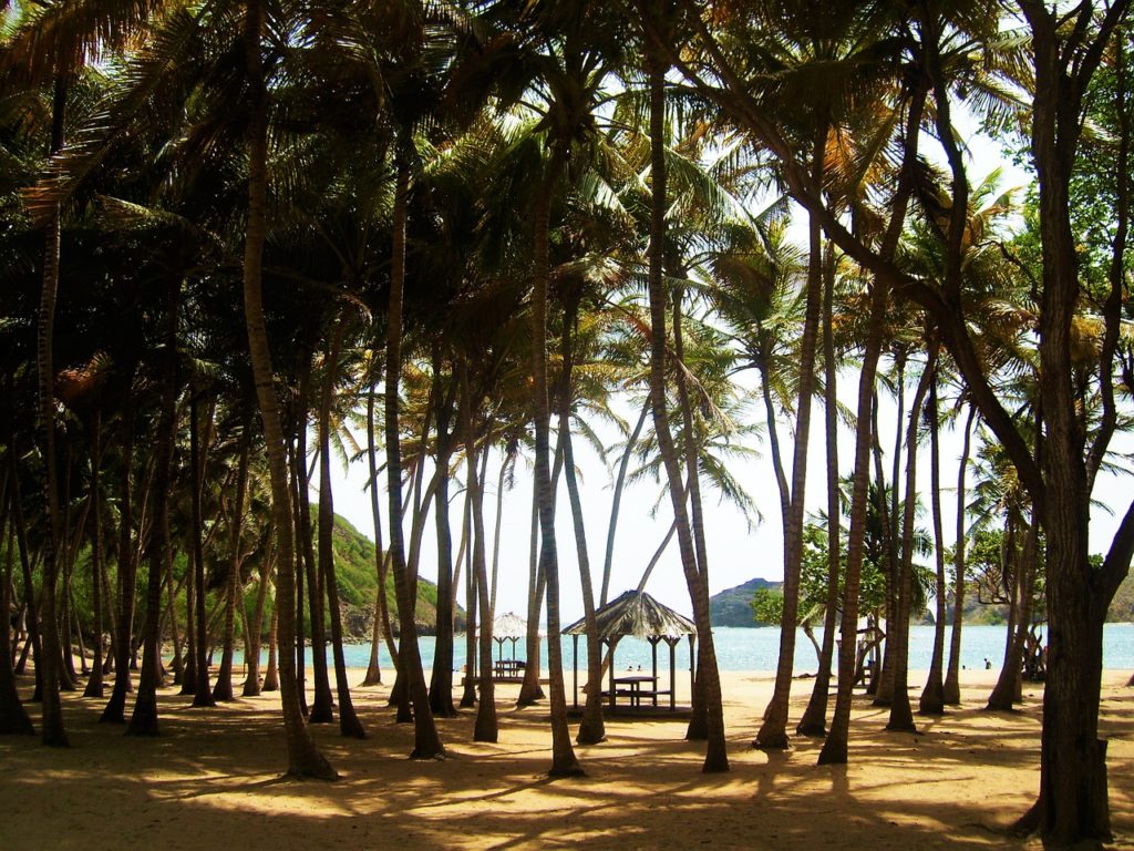  Guadeloupe sziget egyik tengerpartja