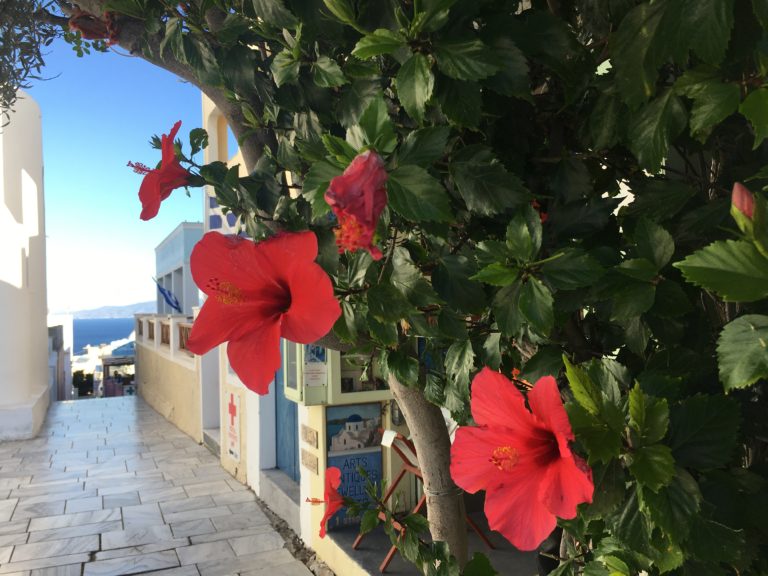 Az élet Santorinin