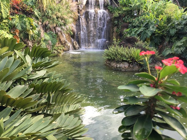A világ egyik legszebb botanikus kertje Guadeloupe szigetén