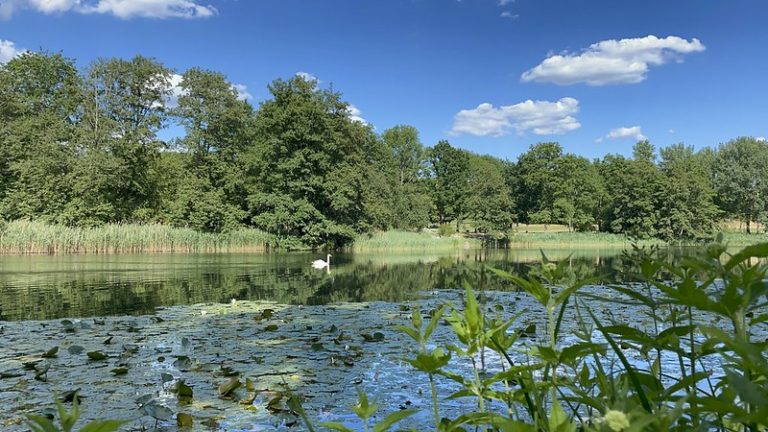 Egy nap a parkban: nyár a Britzer Gartenben