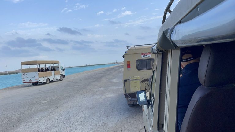 Szafari Abu Dhabiban – Sir Bani Yas Island