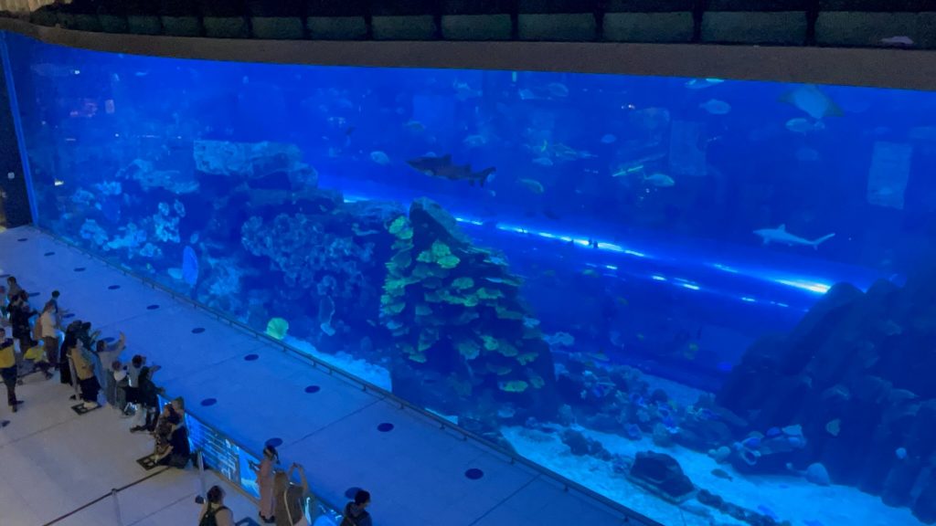 A legfontosabb dubai látnivalók: az akvárium