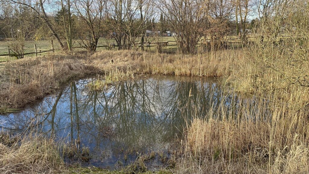 Domäne Dahlem: tavacska