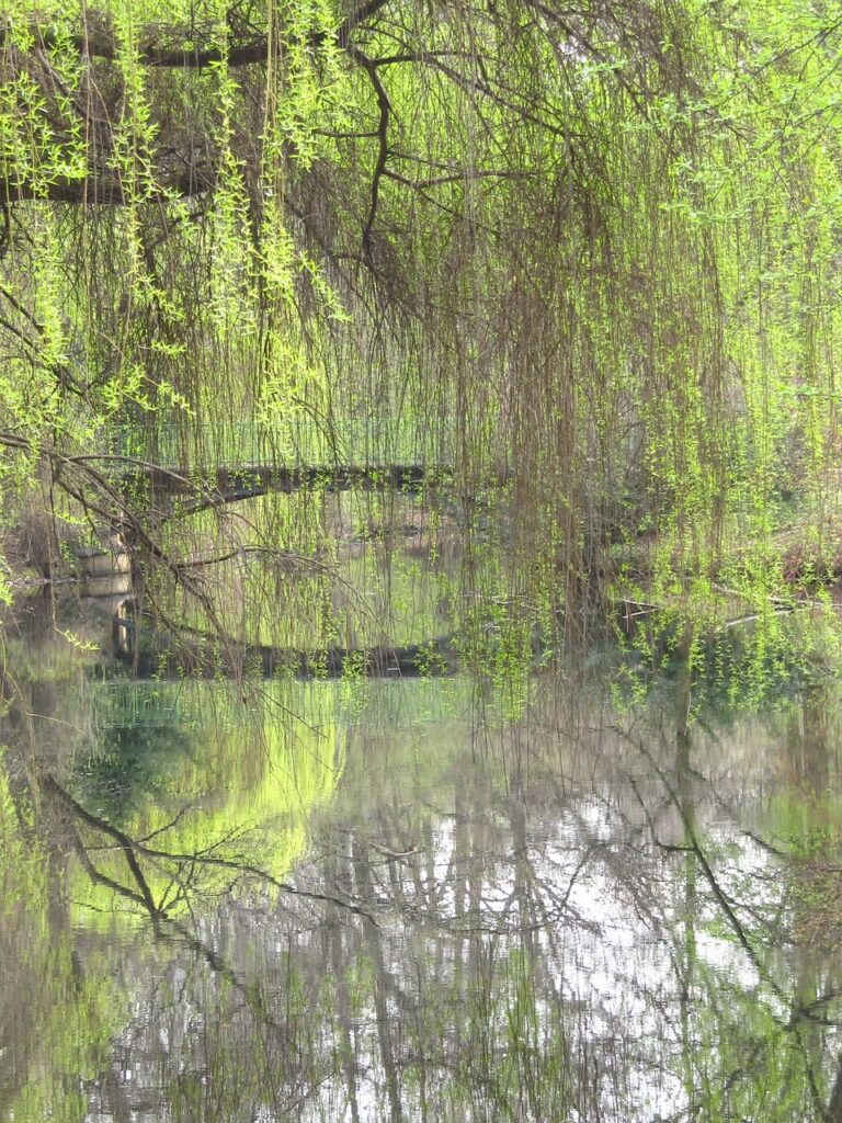 Tiergarten