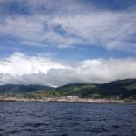 Bálnales az Azori-szigeteken