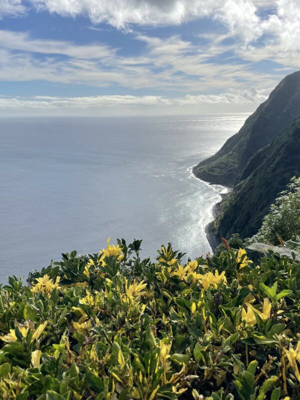 Ponta do Sossego