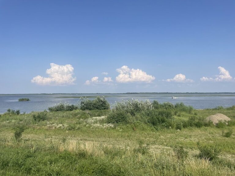 A Tisza-tó