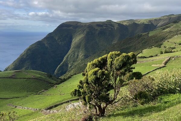 Sao Jorge