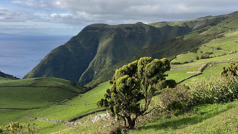 Sao Jorge