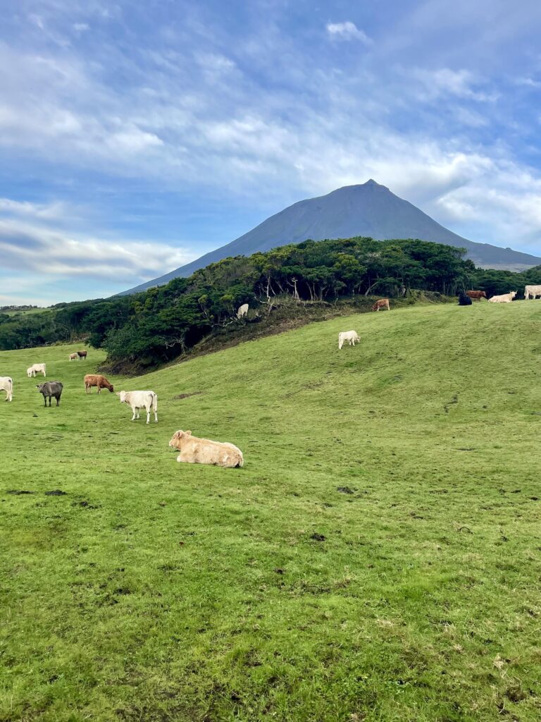 Pico vulkán