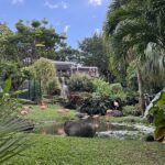 Guadeloupe decemberbebn