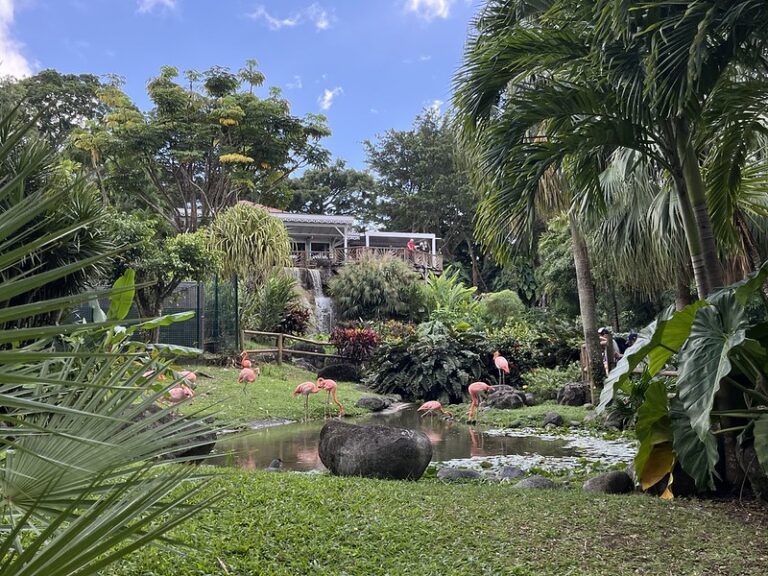 Guadeloupe decemberbebn